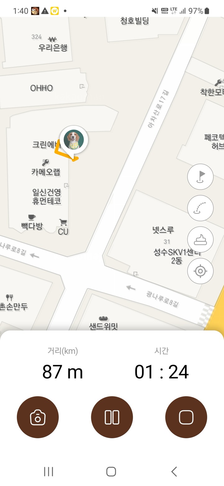 펫토링 Petoring 화면 3