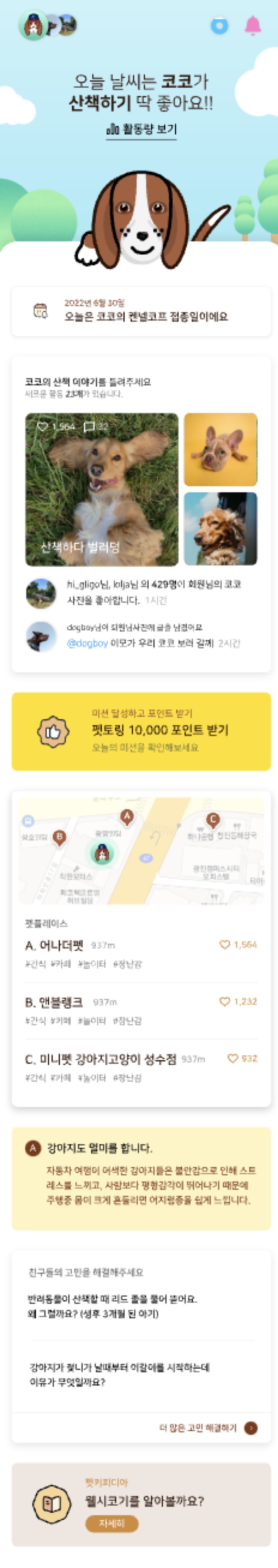 펫토링 Petoring 화면 4